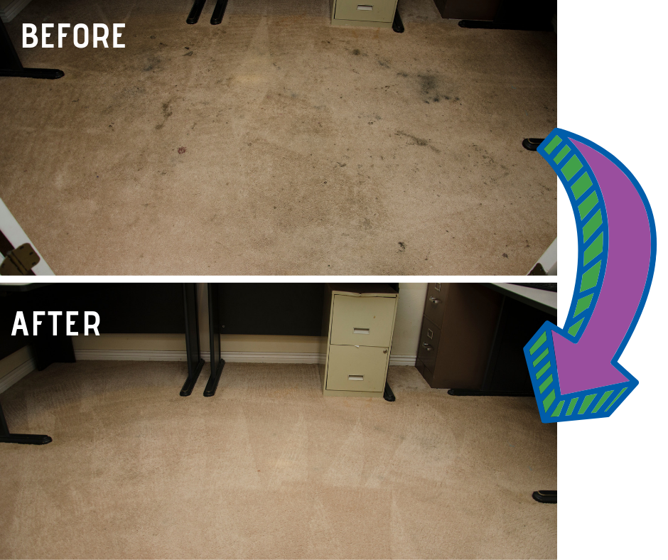 before and after carpet cleaning images in The Villages FL courtesy of First Class Chem-Dry