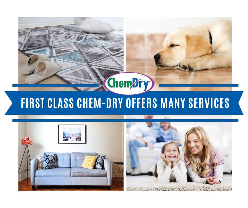 First Class Chem-Dry offers many services including rug cleaning, tile and grout cleaning, upholstery cleaning, carpet cleaning, and pet urine and odor removal in The Villages FL