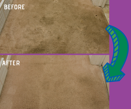 before and after carpet cleaning images in The Village FL by First Class Chem-Dry